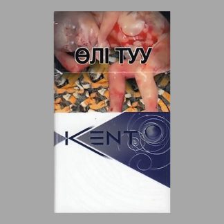 Сигареты Kent Purple (Кент Пёрпл)